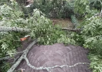 Dependable remodel company